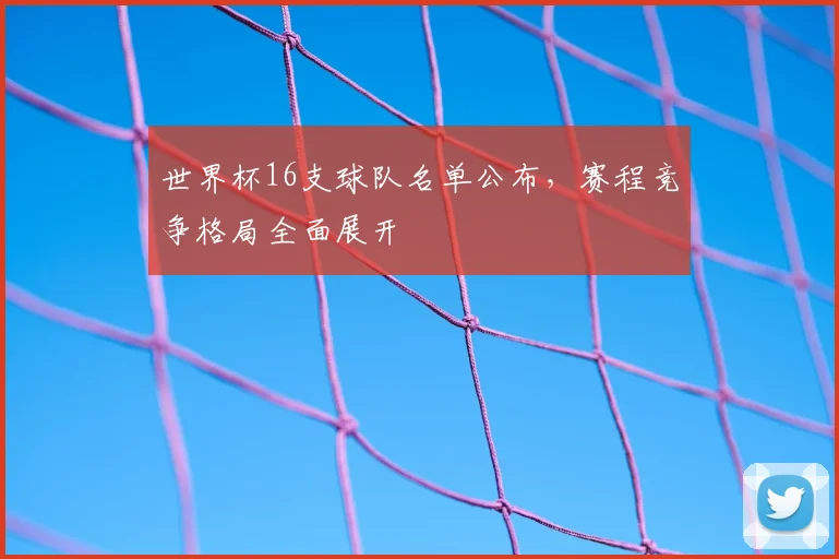 世界杯16支球队名单公布，赛程竞争格局全面展开