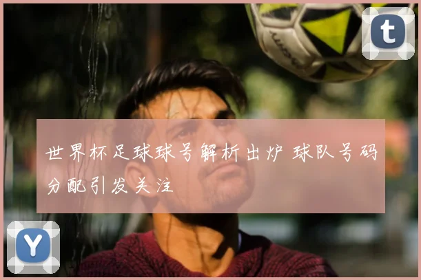 世界杯足球球号解析出炉 球队号码分配引发关注
