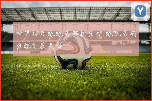 世界杯足球球号解析出炉 球队号码分配引发关注