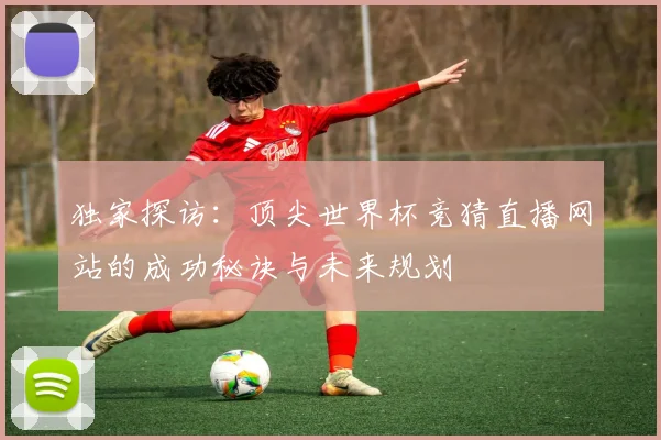 独家探访:顶尖世界杯竞猜直播网站的成功秘诀与未来规划