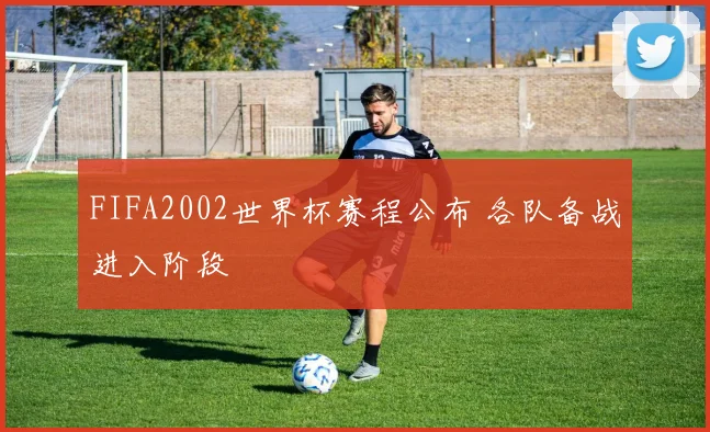 FIFA2002世界杯赛程公布 各队备战进入阶段