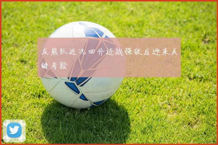 灰熊队近况回升连战强敌后迎来关键考验