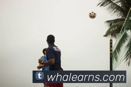 世界杯官网登录app发展历程