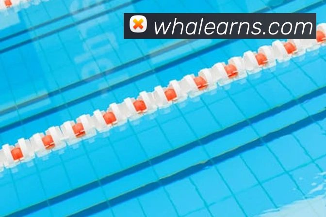 虎扑解析凯尔特人阵容调整 轮换深度与季后赛竞争力受关注